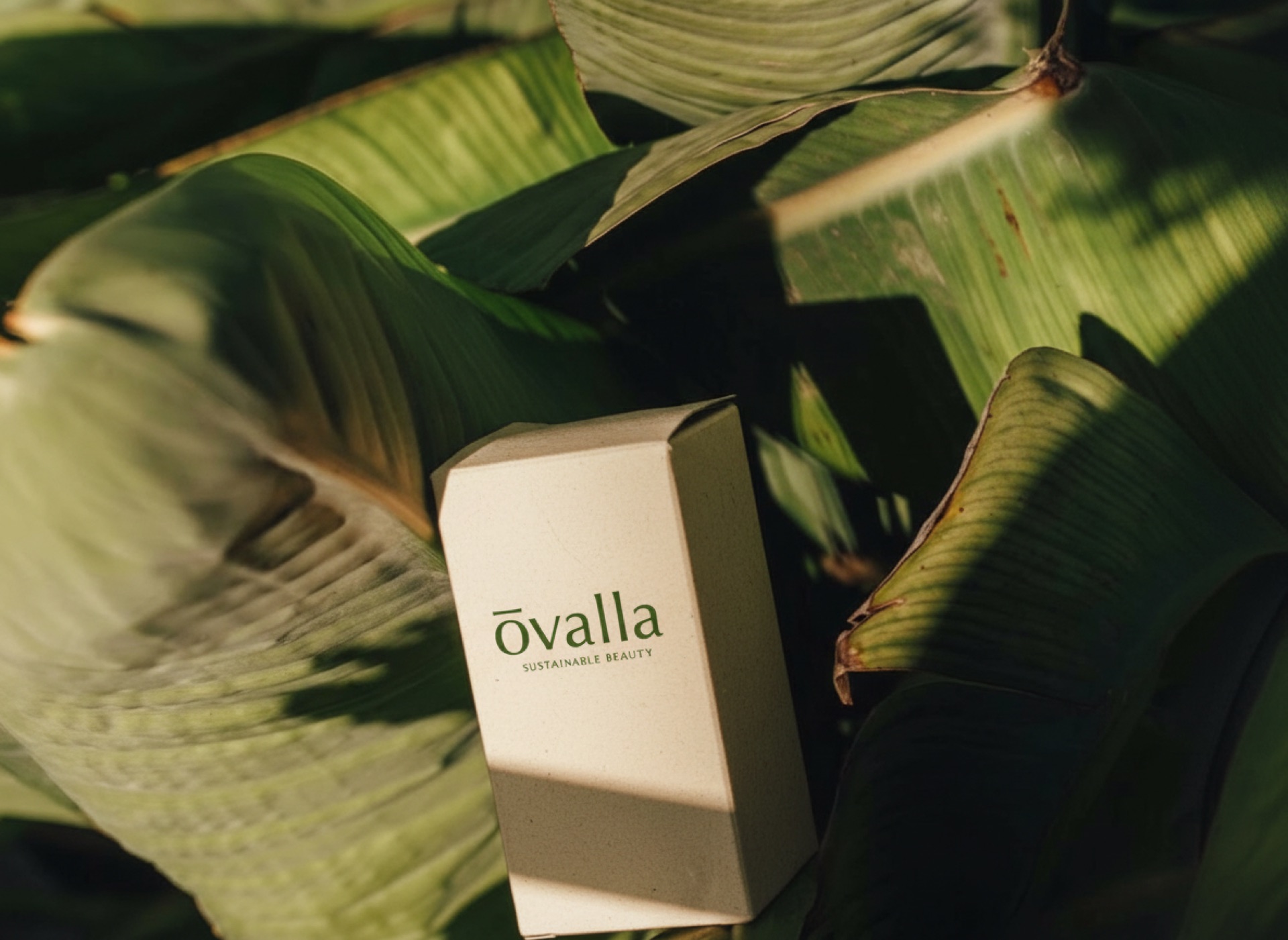 오벨라 — OVELLA 06