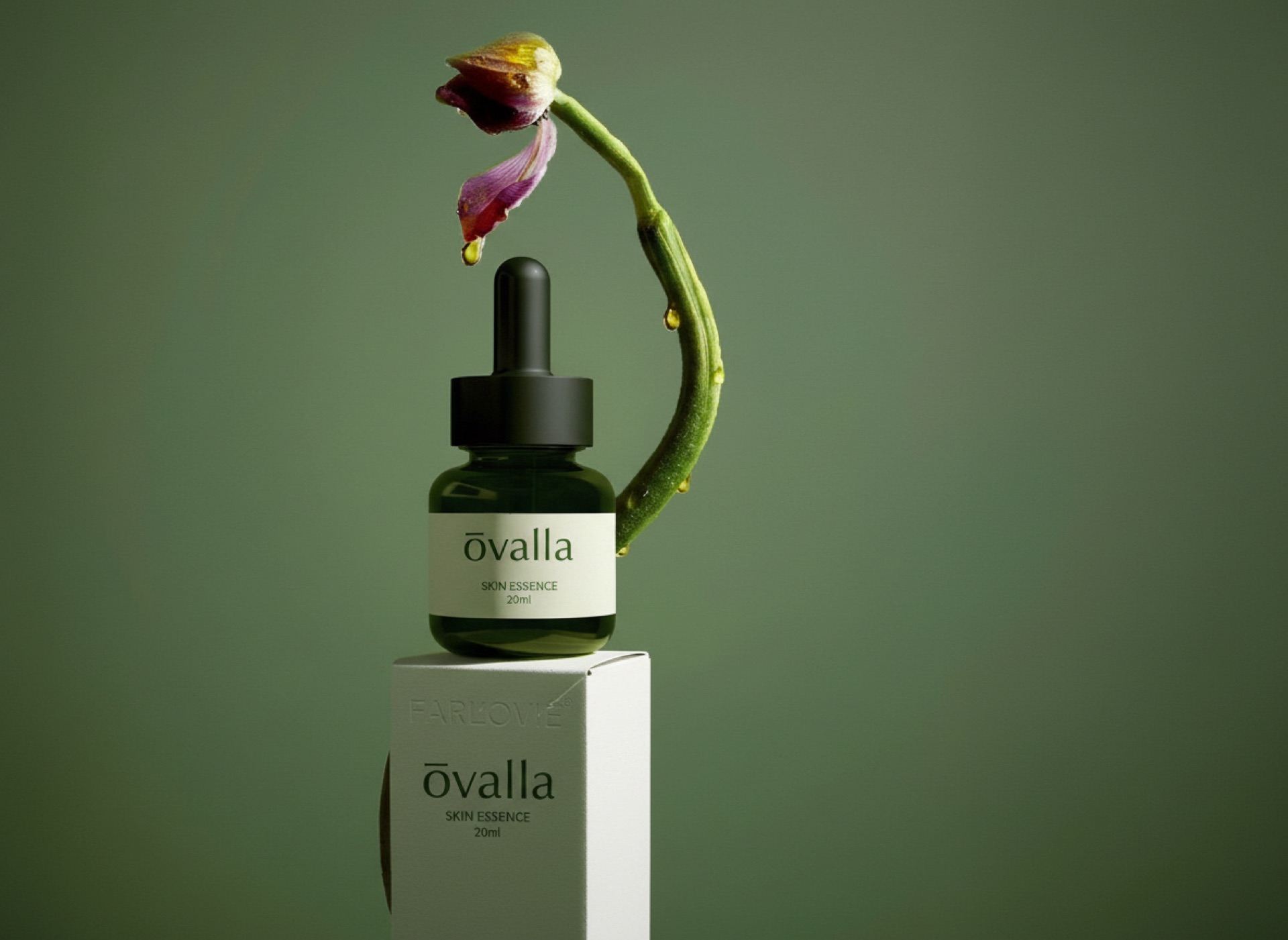 오벨라 — OVELLA 07