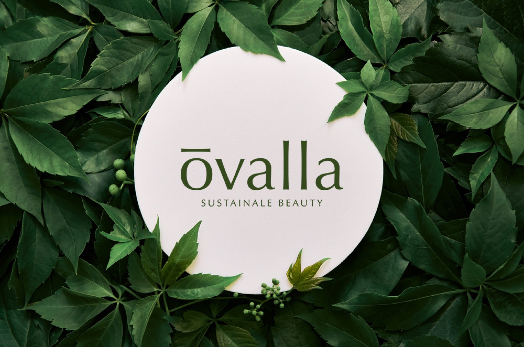 오벨라 — OVELLA